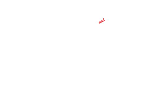 Campari Negroni Week